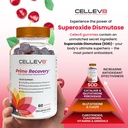 cellev8-prime-recovery-joint-muscle-reco-4.jpg