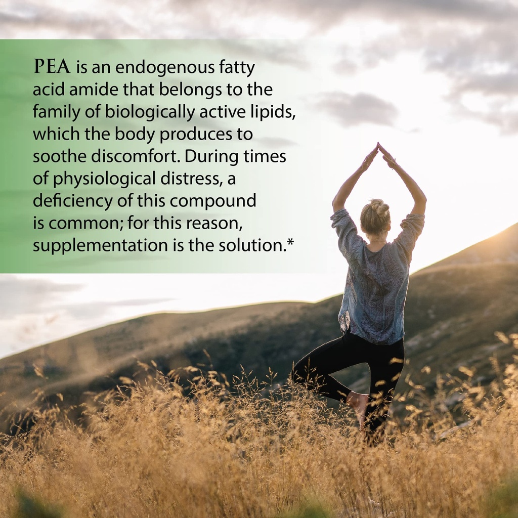 enzyme-science-recovery-and-mobility-myo-6.jpg