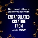 lifeaid-fitaid-rx-creatine-drink-blue-ra-5.jpg