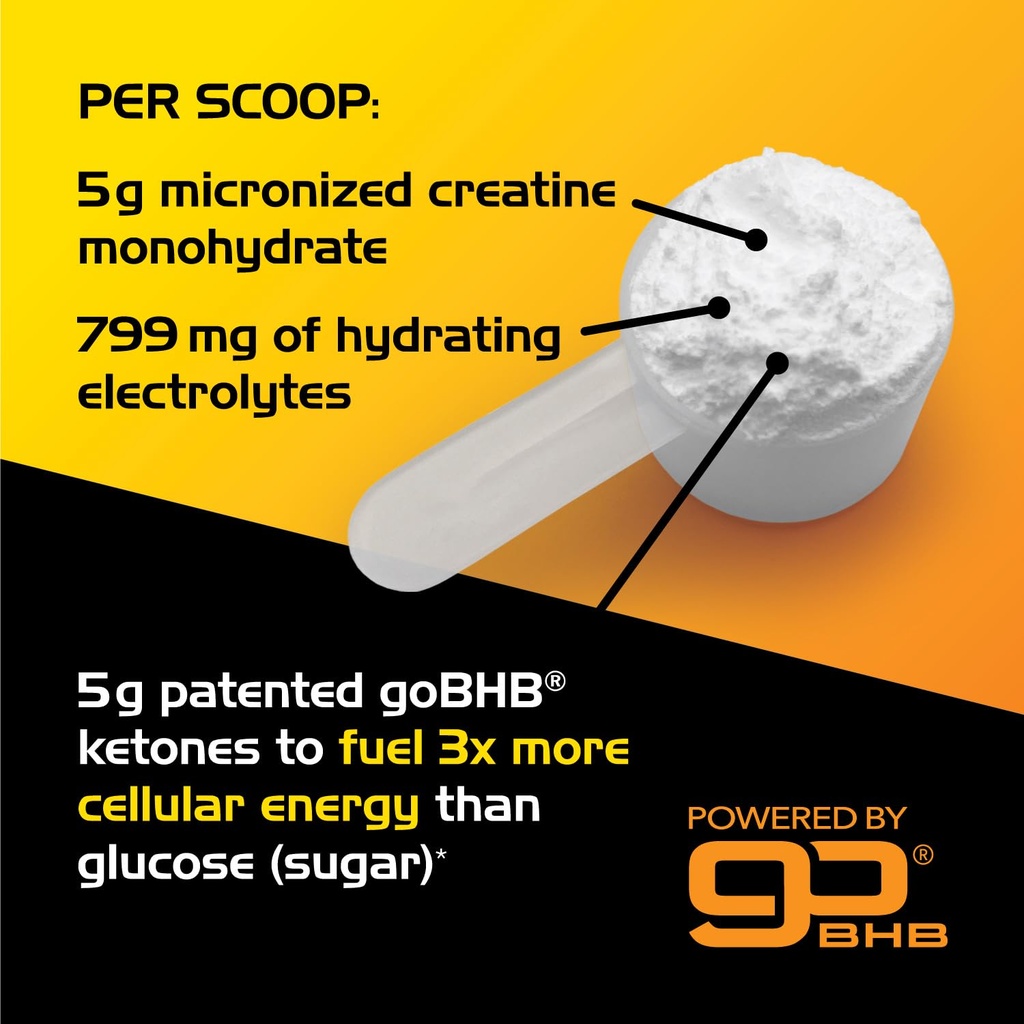 micronized-creatine-monohydrate-powder-s-2.jpg