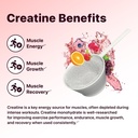 flat-tummy-pre-workout-powder-for-women--5.jpg