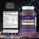 new-age-2-pack-premium-elderberry-gummie-2.jpg