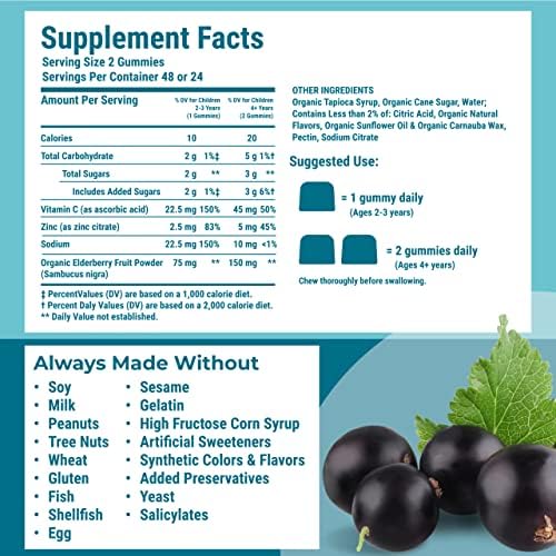 hyland-s-kids-organic-elderberry-plus-gu-2.jpg