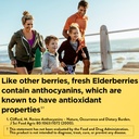 nature-made-elderberry-gummies-with-vita-2.jpg