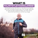 nootropics-depot-palmitoylethanolamide-c-5.jpg