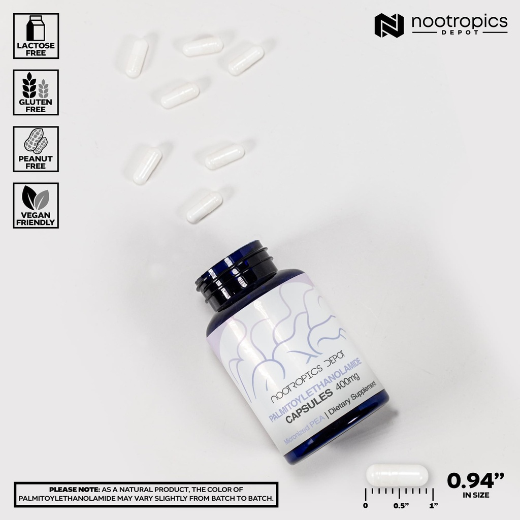 nootropics-depot-palmitoylethanolamide-c-3.jpg