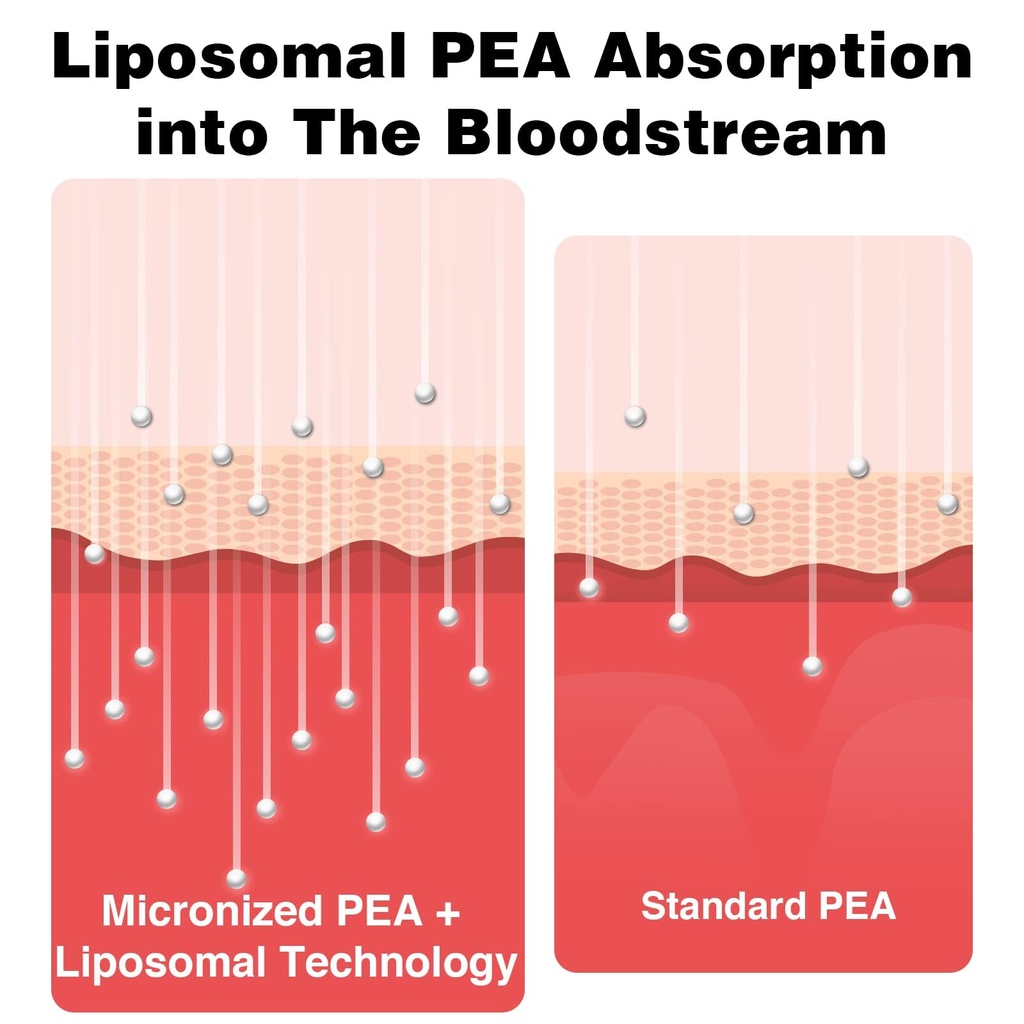 liposomal-palmitoylethanolamide-1000-mg--4.jpg