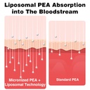 liposomal-palmitoylethanolamide-1000-mg--4.jpg
