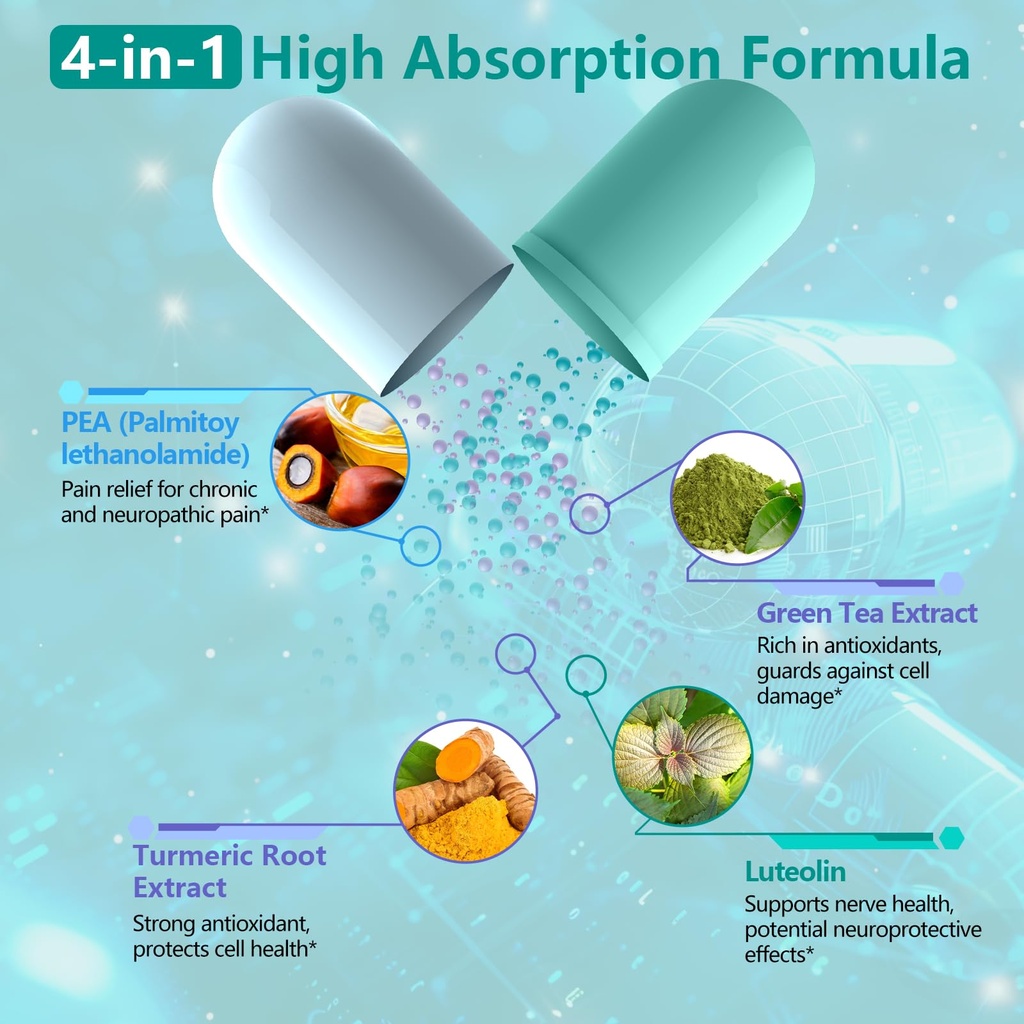 ingreens-high-potency-4-in-1-palmitoylet-2.jpg