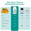 ingreens-high-potency-4-in-1-palmitoylet-3.jpg