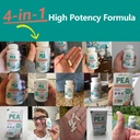 ingreens-high-potency-4-in-1-palmitoylet-5.jpg