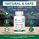 palmitoylethanolamide-pea-supplement-plu-4.jpg