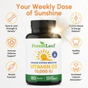 forestleaf-vitamin-d3-10-000-iu-vit-d-vi-2.jpg