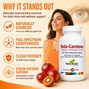 new-roots-herbal-beta-carotene-25-000-iu-4.jpg