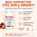 new-roots-herbal-beta-carotene-25-000-iu-2.jpg