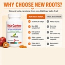new-roots-herbal-beta-carotene-25-000-iu-6.jpg