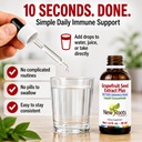 new-roots-herbal-grapefruit-seed-extract-5.jpg