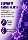new-roots-herbal-lions-mane-supplement-c-5.jpg