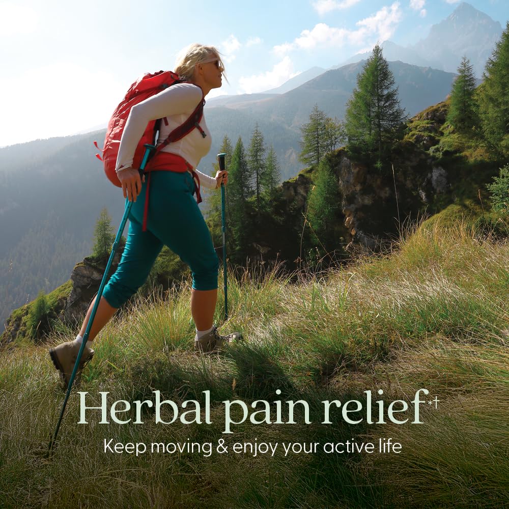 new-chapter-zyflamend-joint-supplement-h-2.jpg