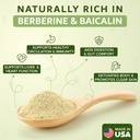 dimmak-herbs-organic-scutellaria-baicale-3.jpg
