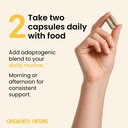 adaptogenic-wellness-blend-capsules-ashw-2.jpg