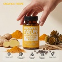 adaptogenic-wellness-blend-capsules-ashw-6.jpg