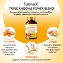 organic-veda-turmox-turmeric-moringa-ash-3.jpg