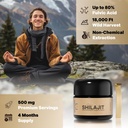 organic-himalayan-shilajit-resin-500mg-m-2.jpg