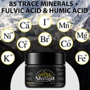 shilajit-pure-himalayan-resin-pure-shila-2.jpg