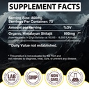 shilajit-pure-himalayan-resin-pure-shila-5.jpg