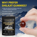 shilajit-gummies-for-men-women-shilajit--4.jpg