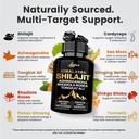 shilajit-for-men-women-10-in-1-pure-hima-5.jpg