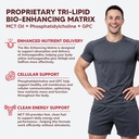 asquared-nutrition-ashwagandha-supplemen-5.jpg