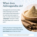 youtheory-ashwagandha-with-organic-ksm-6-4.jpg