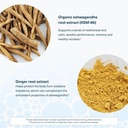 youtheory-ashwagandha-with-organic-ksm-6-5.jpg