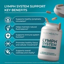 purehealth-research-lymph-system-support-3.jpg