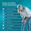 purehealth-research-lymph-system-support-5.jpg