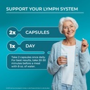 purehealth-research-lymph-system-support-6.jpg