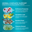 purehealth-research-lymph-system-support-4.jpg