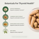 snap-supplements-thyroid-health-thyroid--3.jpg