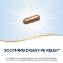 nature-s-way-premium-extract-dgl-ultra-e-3.jpg