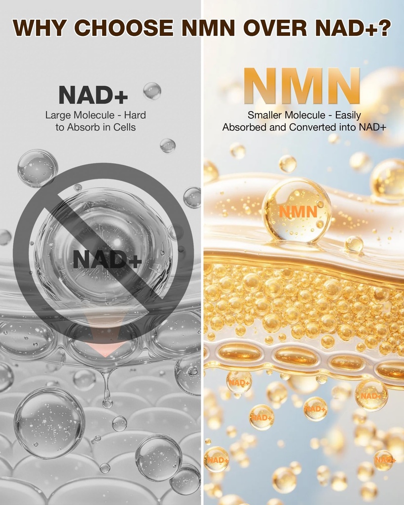 nmn-supplement-4-in-1-liposomal-nmn-with-2.jpg