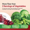 yum-vs-prebiotic-fiber-gummies-for-adult-6.jpg
