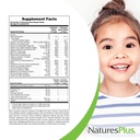 naturesplus-animal-parade-children-s-che-5.jpg