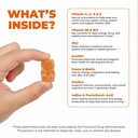 premium-kids-multivitamin-gummies-12-in--4.jpg