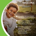 naturesplus-animal-parade-children-s-che-4.jpg
