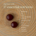 new-chapter-kids-multivitamin-gummies-65-3.jpg