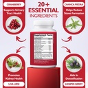 kidney-cleanse-detox-repair-formula-natu-4.jpg