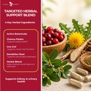 kidney-cleanse-detox-repair-with-chanca--6.jpg