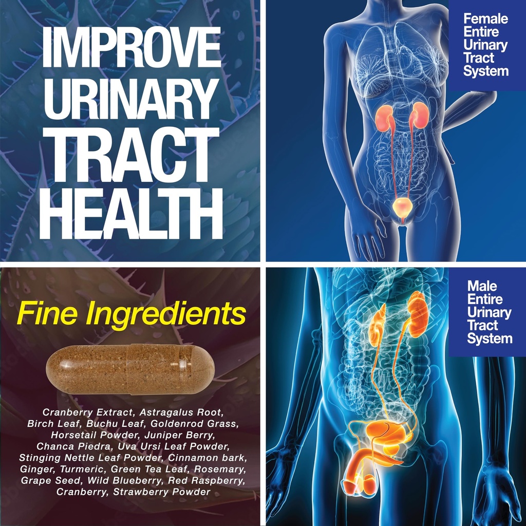 kidney-support-cleanse-detox-repair-120--6.jpg
